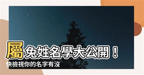 2023屬兔姓名學|2023兔寶寶取名不燒腦！精選40個最適合的字，以及。